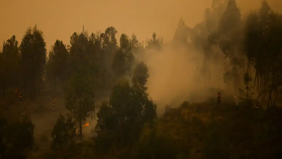 Incêndios. Prejuízo de quatro milhões de euros em Vila Pouca de Aguiar