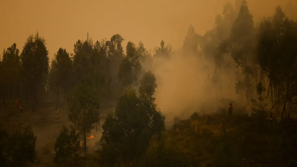 Incêndio florestal, Incêndios, Castro Daire, 