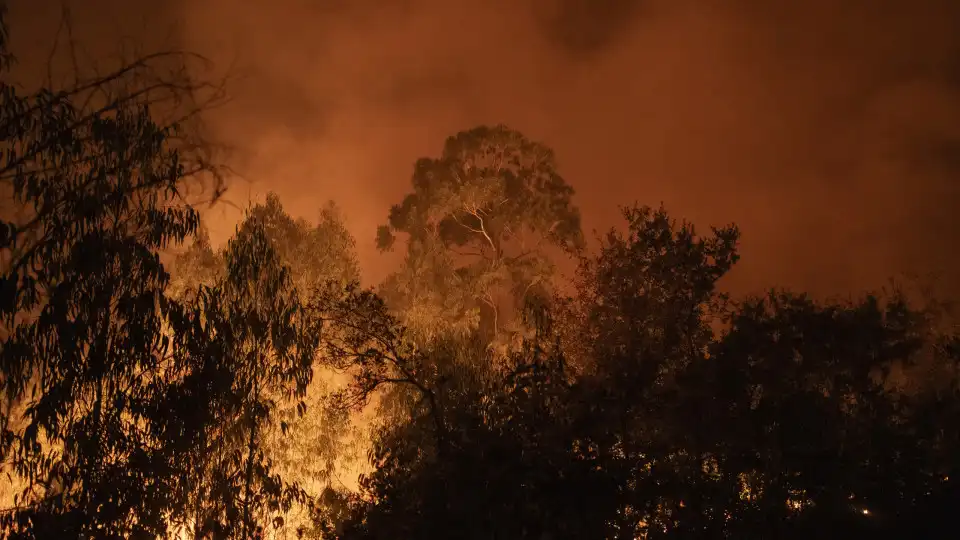 Fogos deixam rastro de prejuízos em Vila Pouca de Aguiar 