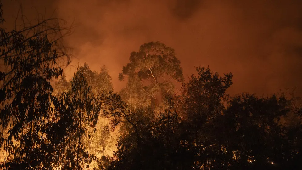 Incêndio Florestal, Incêndios, 