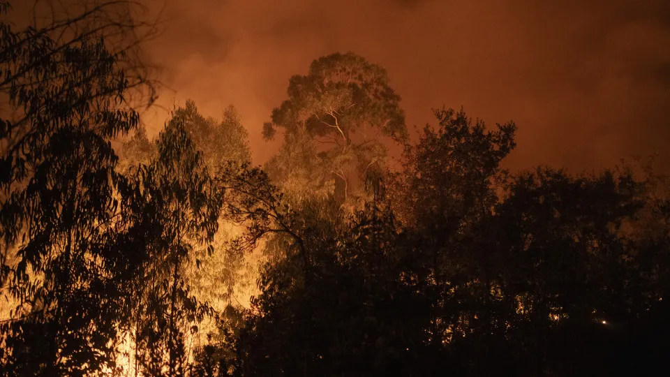 Incêndio Florestal, Incêndios, 