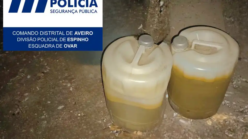 Bidões com combustível encontrados pela PSP em zona florestal de Ovar