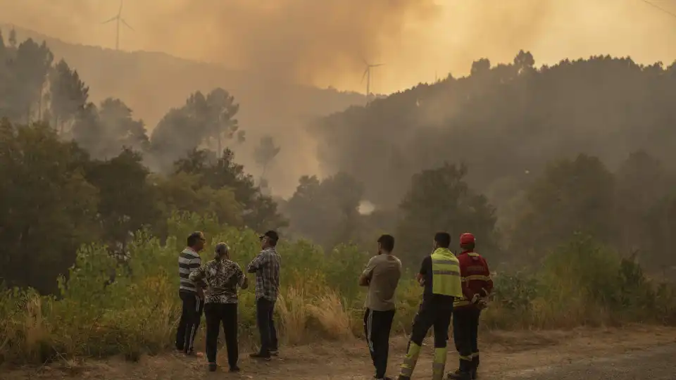 "Ausência de ordenamento do território é a causa central" dos incêndios