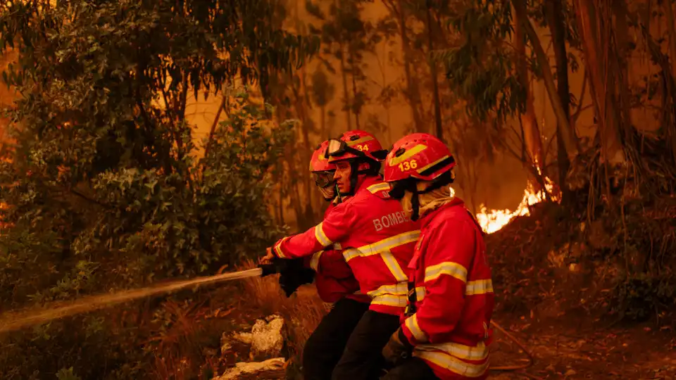 Equipas fazem trabalho de mitigação de impacto em zonas ardidas de Fafe