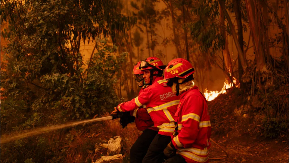 incêndios portugal