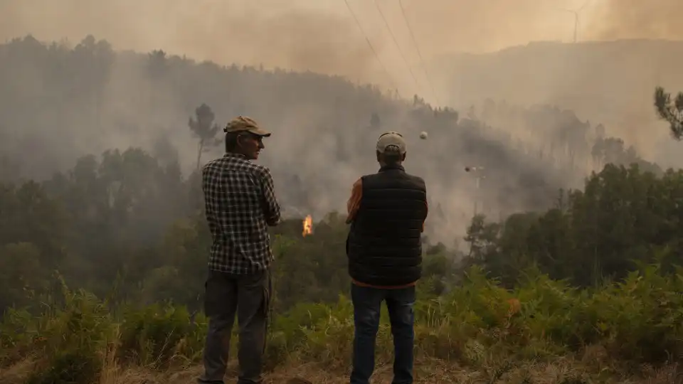 Governo admite relação de fogos com alterações climáticas. "Mas não é só"