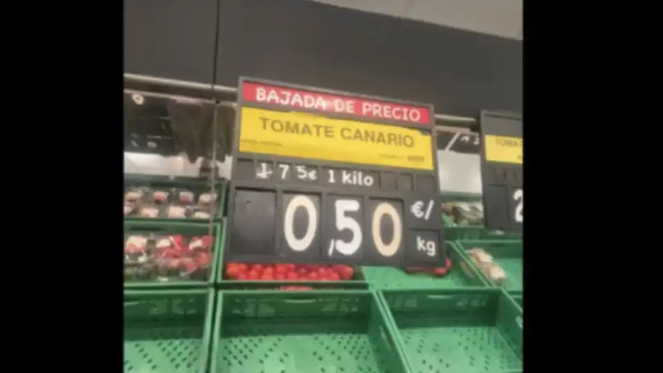 Tomates portugueses mais baratos em Espanha? Mercadona esclarece