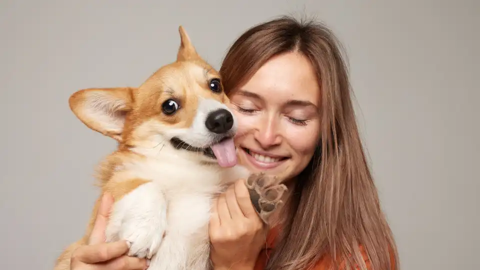 Estudo. Humanos falam devagar com os cães para melhorar a compreensão