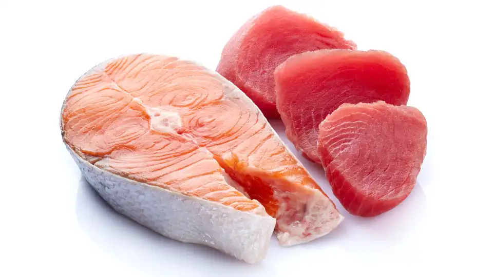 Salmão vs atum: Qual é o peixe mais saudável? Dietista responde