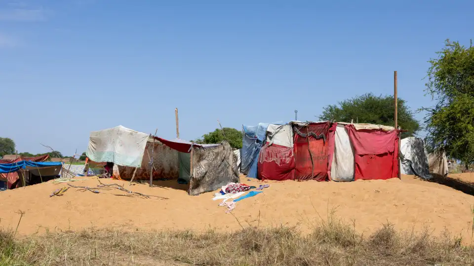 Pelo menos 19 mortos em confrontos entre camponeses e pastores no Chade