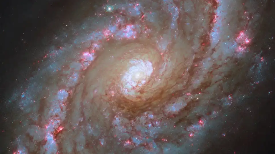 Hubble partilha fotografia (deslumbrante) de galáxia espiral