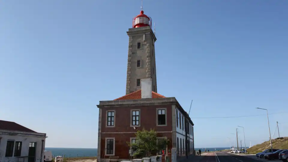 Marinha Grande quer instalar Museu Nacional da Floresta no concelho 