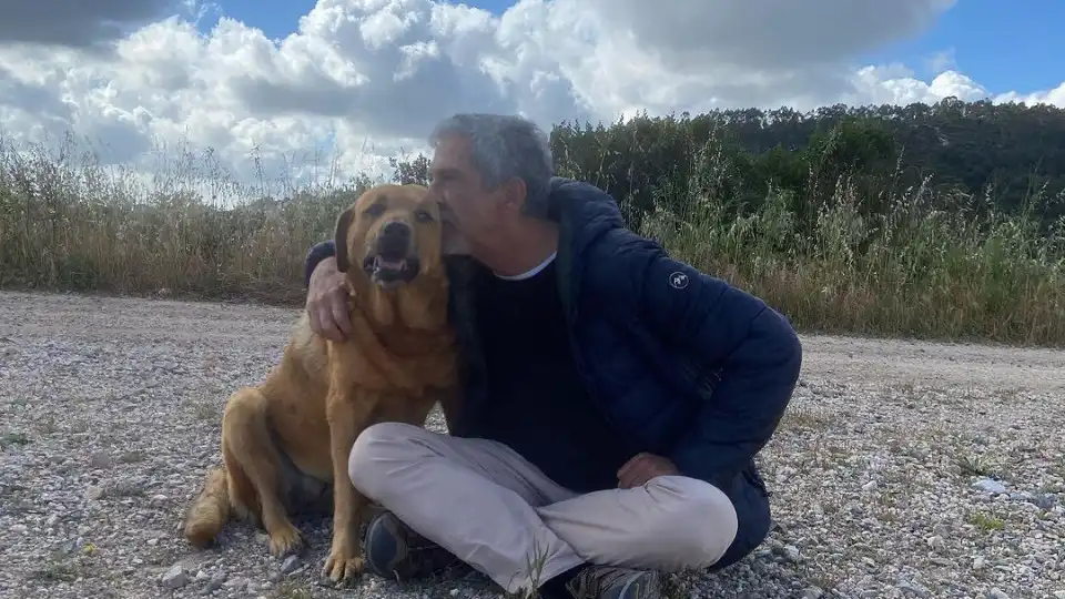 Nuno Homem de Sá: "A nossa Sky partiu. A eutanásia é uma solução"