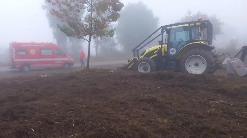 Trabalhador do ICNF morre após picada de vespa asiática em Mondim de Basto