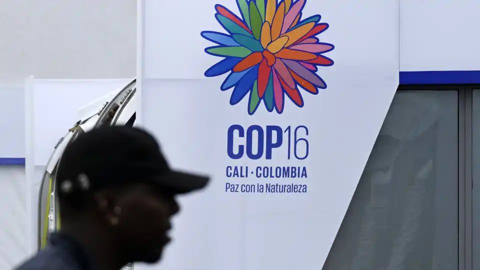 COP16. Comité Europeu das Regiões defende papel das autoridades regionais