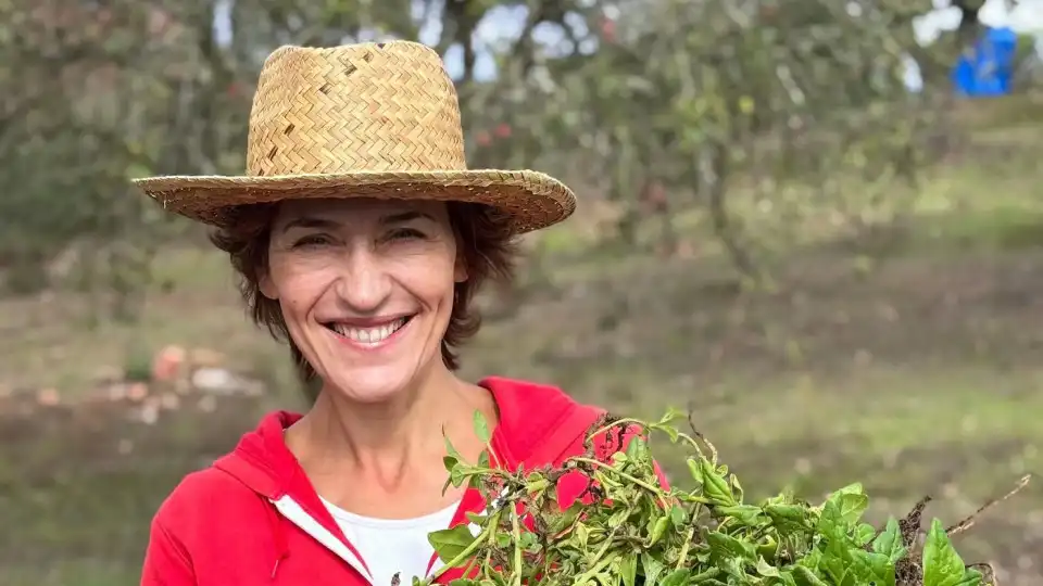 Fátima Lopes revela técnica curiosa para apanhar azeitona: "Funciona bem"