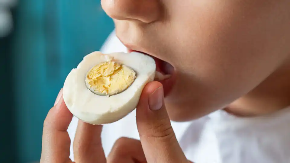 Será que comer muitos ovos pode aumentar os níveis de colesterol?