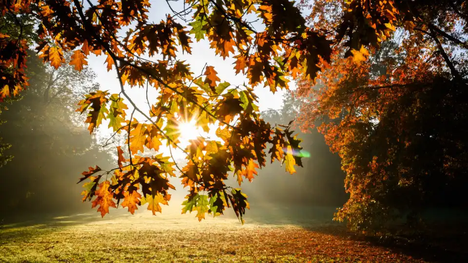 Primeiros dez dias de novembro vão trazer calor... anormal para a época