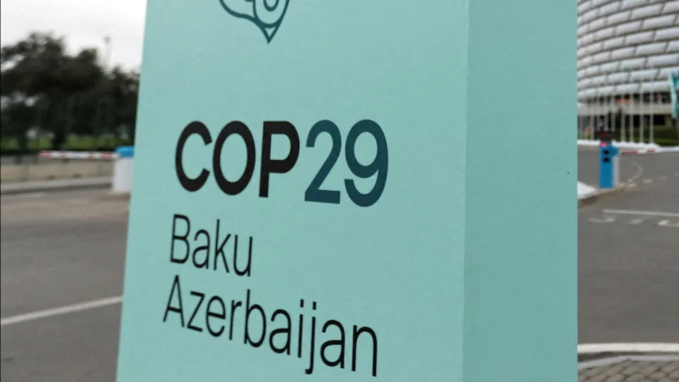 ONG defendem inclusão da juventude portuguesa nas decisões da COP29