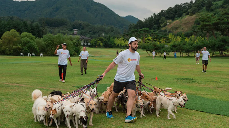 Passear 38 cães? Este homem tem um novo recorde do Guinness