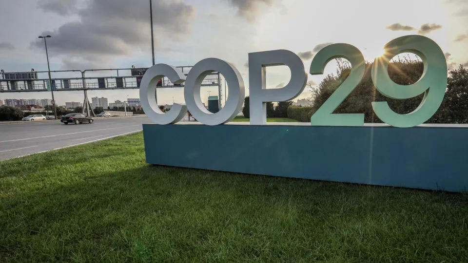 COP29. Zero espera conferência 'morna' e apela a metas ambiciosas