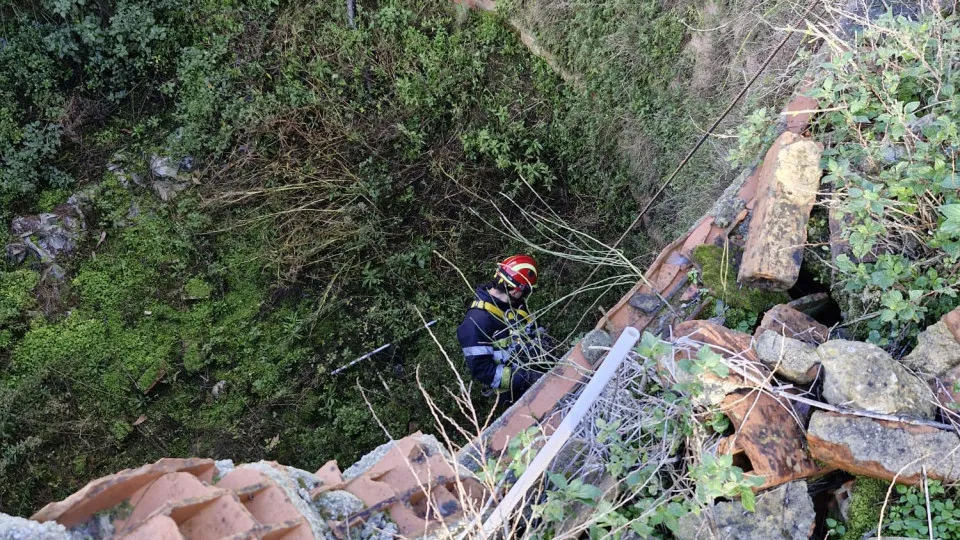 Bombeiros de Óbidos salvam cão "imobilizado" no fundo de um poço