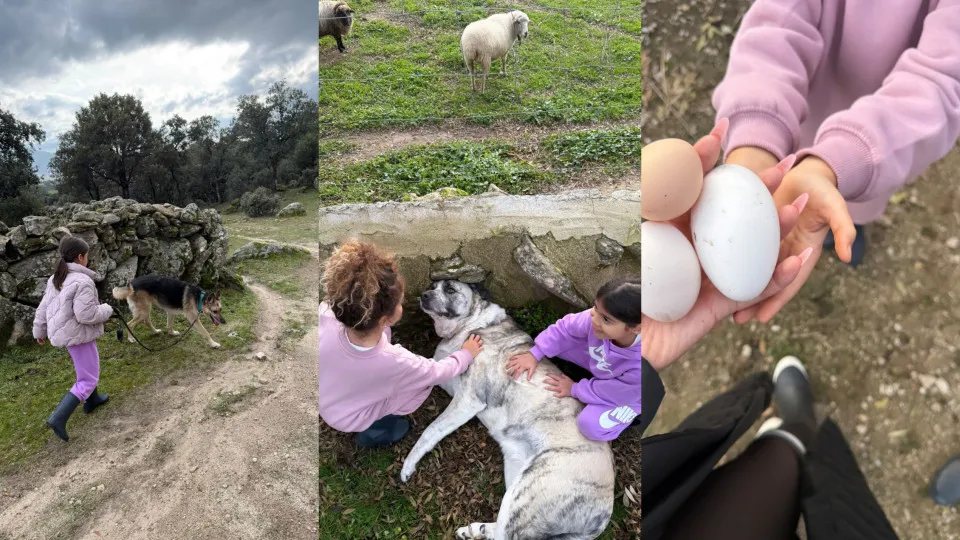 Um dia no campo! Georgina Rodríguez em passeio com os filhos