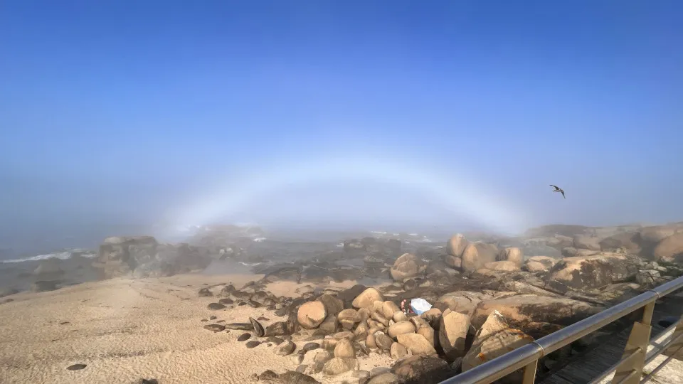 Já viu um arco-íris branco? Fenómeno existe e foi captado em Gaia