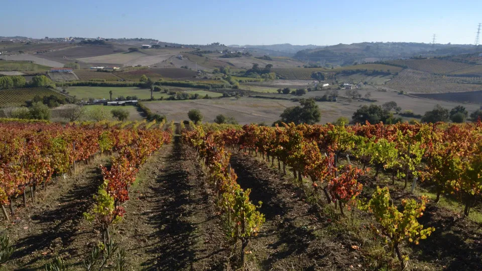 Câmara de Arruda dos Vinhos com orçamento de 20,1 milhões para 2025