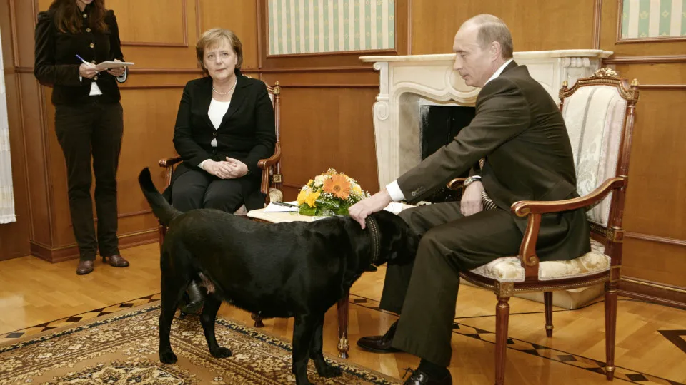 "Angela, perdoe-me". Putin garante que não queria assustar Merkel com cão