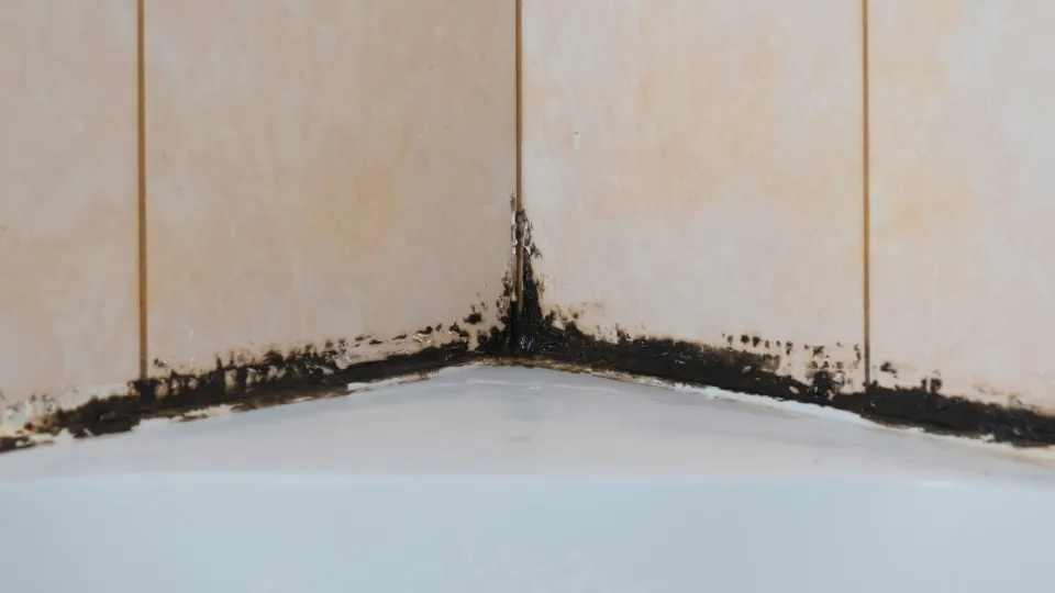 Truque muito simples para livrar-se do bolor no silicone das juntas do WC
