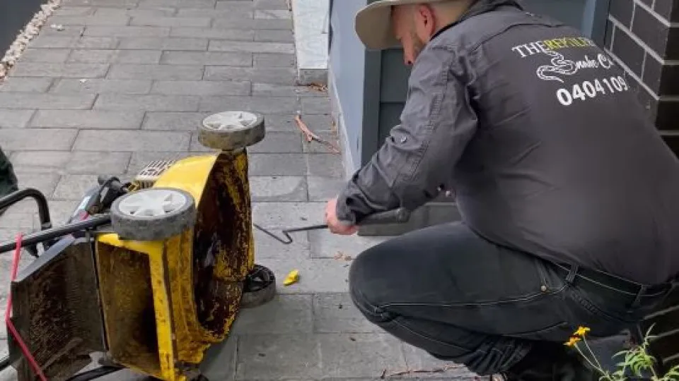 Cobra mortífera encontrada dentro de cortador de relva na Austrália