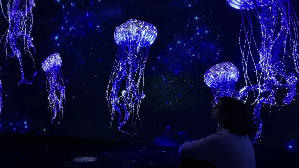 Alerta, happy hour. Oceanário de Lisboa está com bilhetes a 13 euros