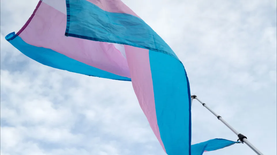 Bandeira, transgénero, 