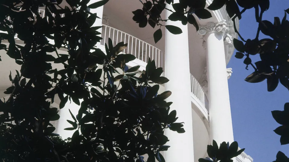 "Tudo tem um fim". Trump manda retirar árvore centenária da Casa Branca
