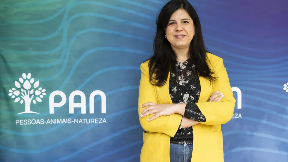 Notícia