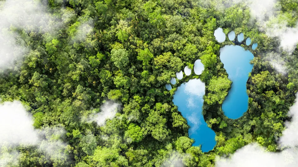 "Surpreenda-se com o resultado". Teste aqui a sua pegada de carbono