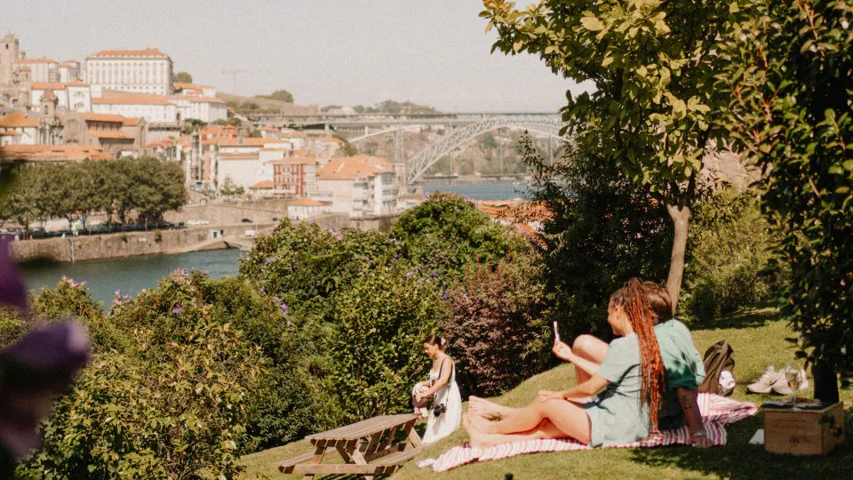 Lodge Pops. Sábados com vista para o Douro com cocktails e petiscos