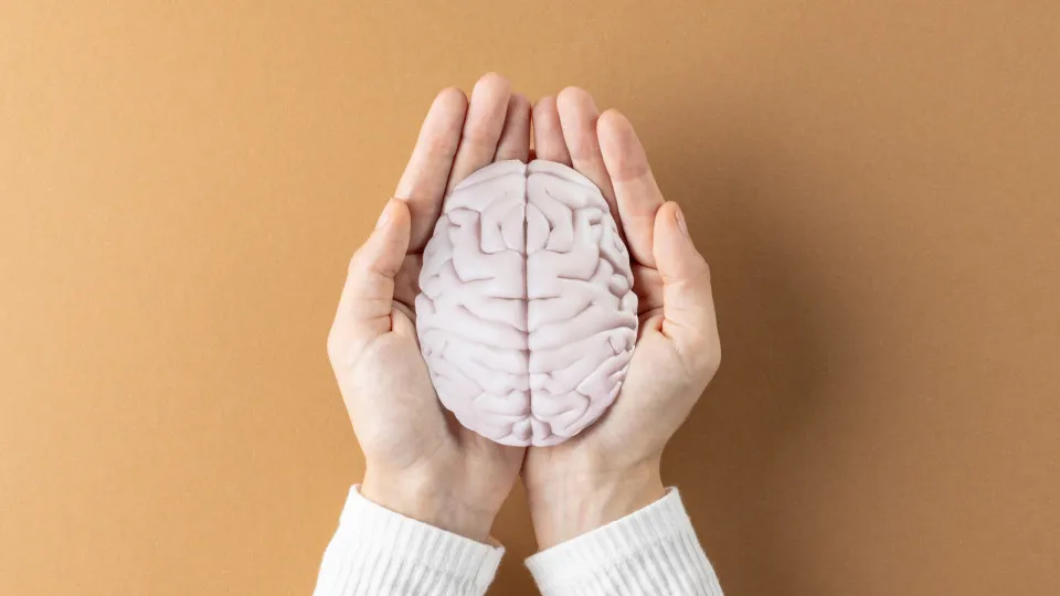 Cérebro. O hábito matinal que uma neurocientista nunca esquece ao acordar
