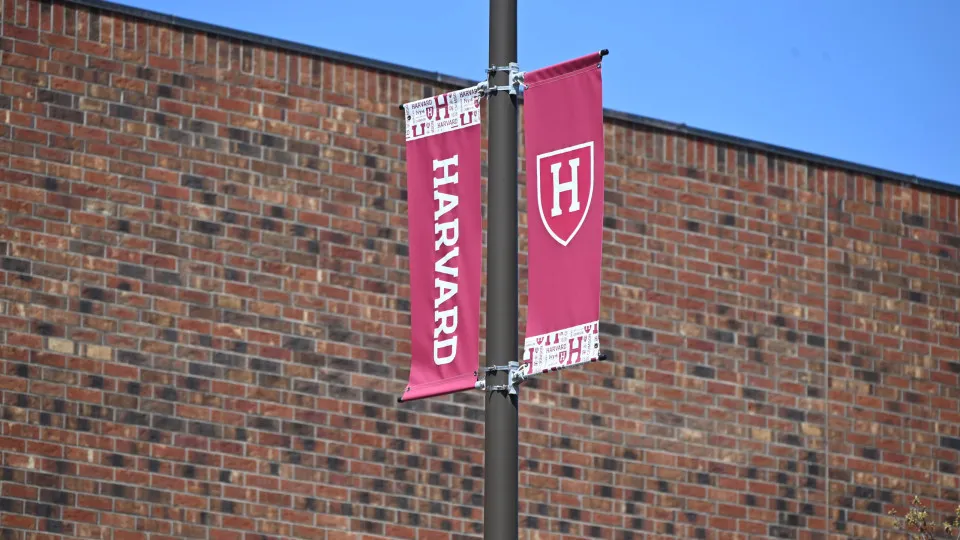 Trump proíbe Harvard de receber "estudantes internacionais". São 27%