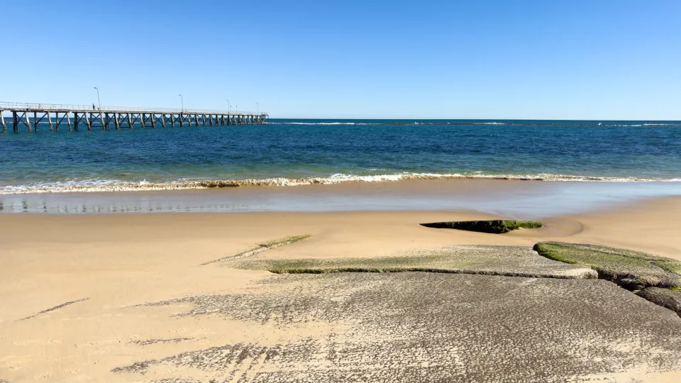 Homem em estado grave após ser atacado por tubarão na Austrália