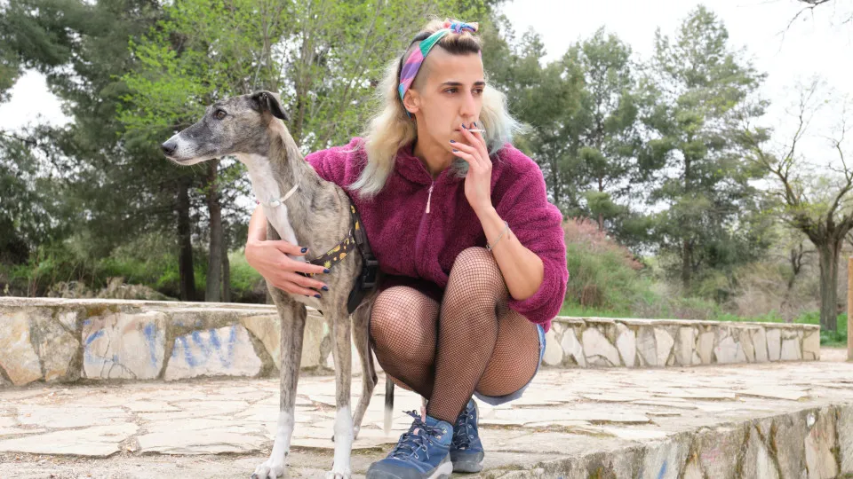 Notícia