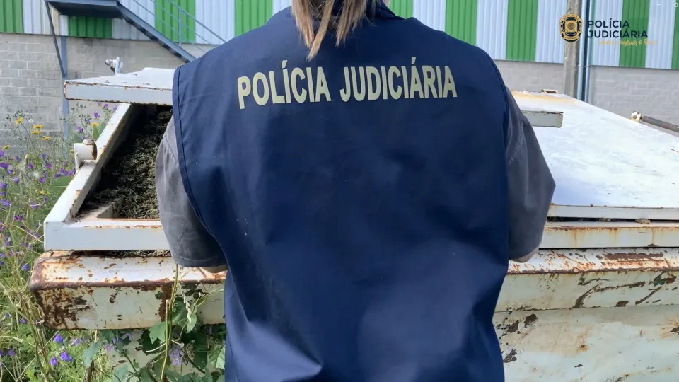 Notícia