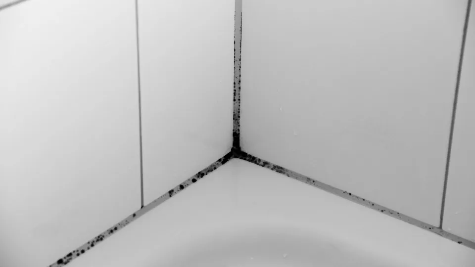 As juntas dos azulejos ficam como novas com este truque