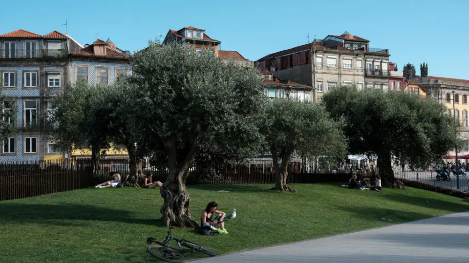 Calor, sol no Porto