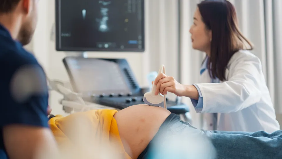 grávida, gravidez, obstetrícia, obstetra, exame, mãe
