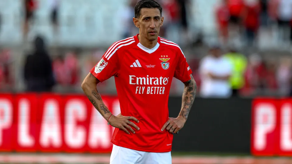 Mercado de Transferências