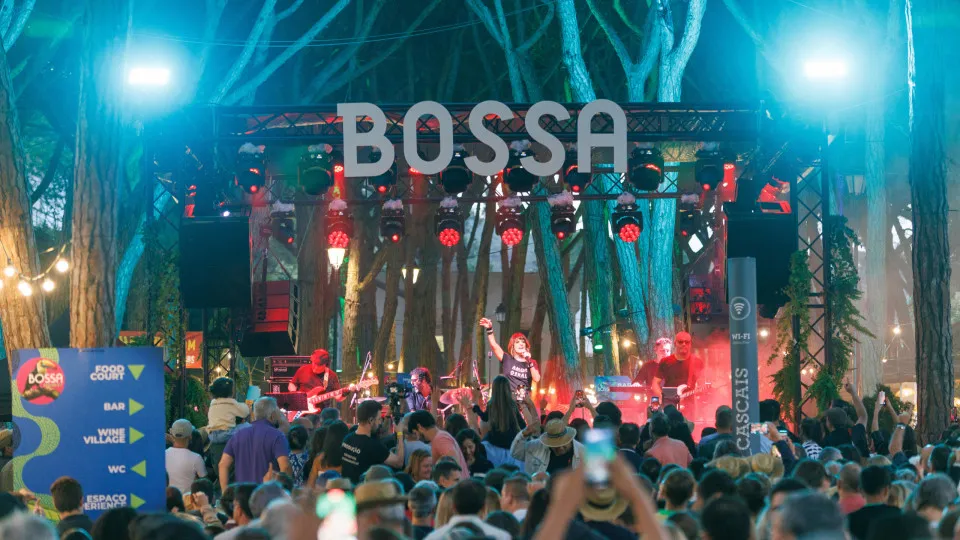 Bossa Market
