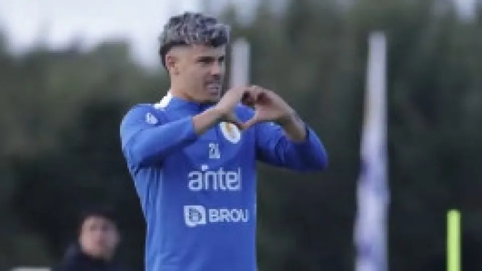 Maxi Araújo