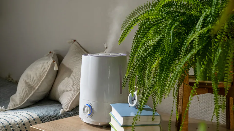 humidificador